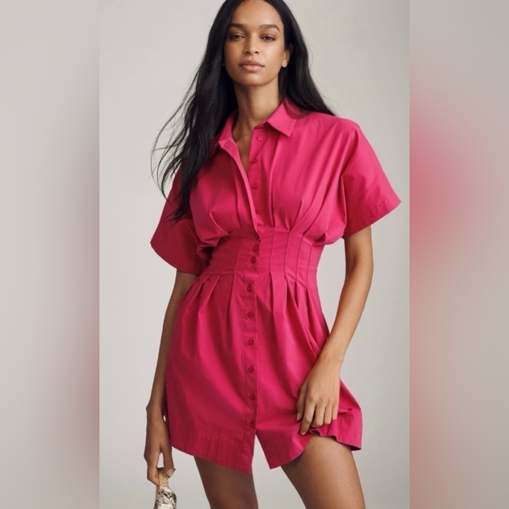 Anthropologie x Exquise The Tobie Button-Front Pleated Shirt Dress Size XL NWT